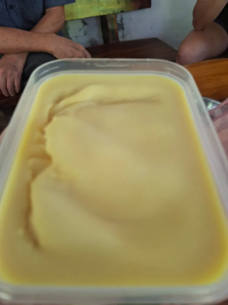 Homemade Custard