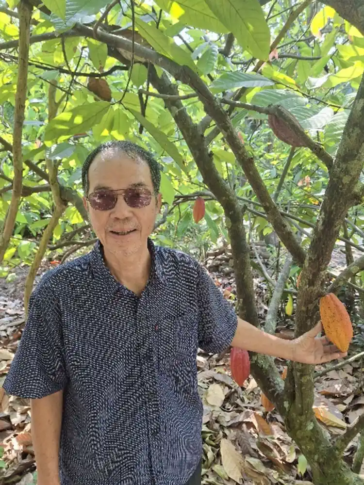 Vietnamese Cocoa Family Farm Owner